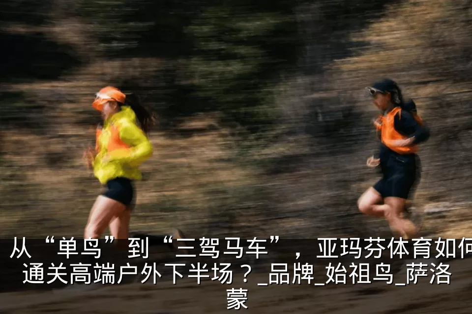 从“单鸟”到“三驾马车”,亚玛芬体育如何通关高端户外下半场?_品牌_始祖鸟_萨洛蒙